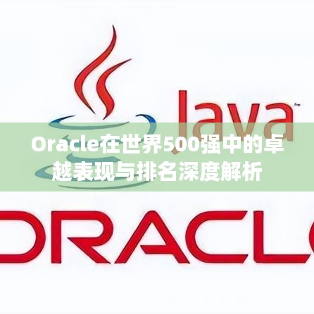 Oracle在世界500强中的卓越表现与排名深度解析