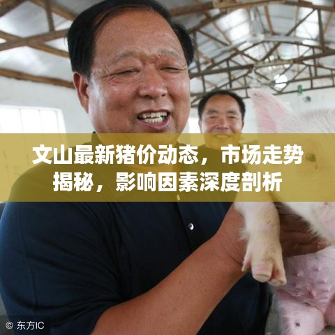 文山最新猪价动态，市场走势揭秘，影响因素深度剖析