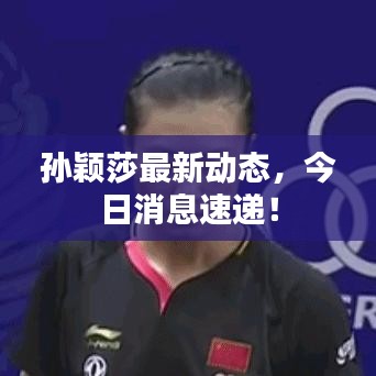 孙颖莎最新动态，今日消息速递！