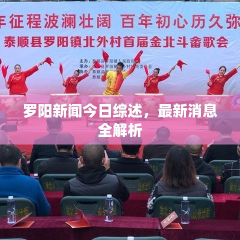 罗阳新闻今日综述，最新消息全解析