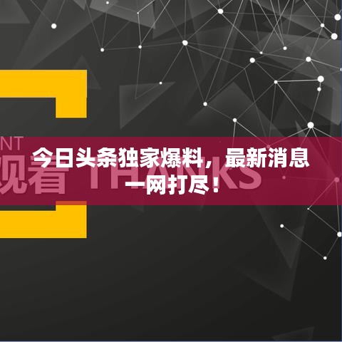 今日头条独家爆料，最新消息一网打尽！