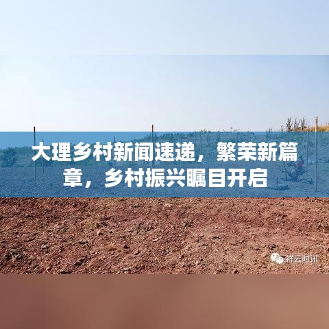 大理乡村新闻速递，繁荣新篇章，乡村振兴瞩目开启