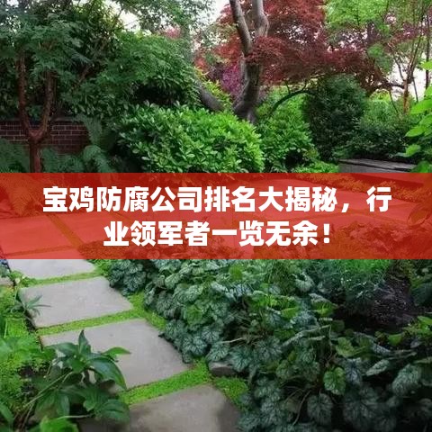 宝鸡防腐公司排名大揭秘，行业领军者一览无余！