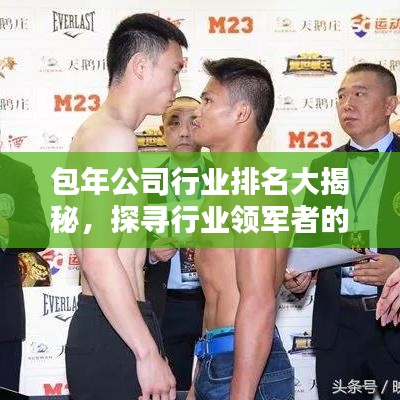 包年公司行业排名大揭秘，探寻行业领军者的步伐！