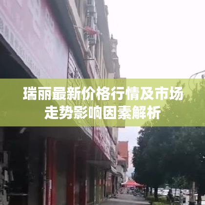 瑞丽最新价格行情及市场走势影响因素解析