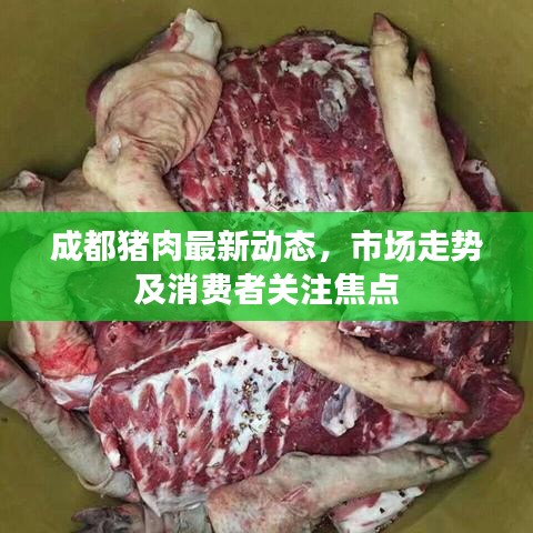 成都猪肉最新动态，市场走势及消费者关注焦点