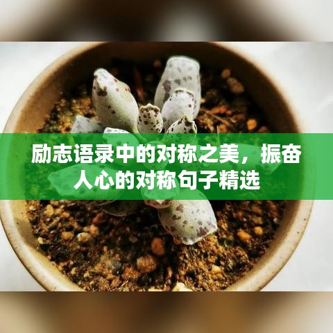 励志语录中的对称之美，振奋人心的对称句子精选