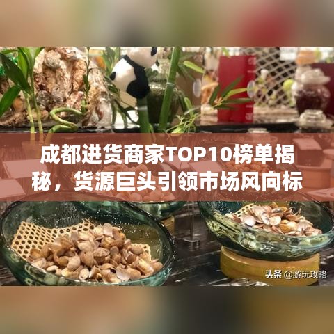 成都进货商家TOP10榜单揭秘，货源巨头引领市场风向标