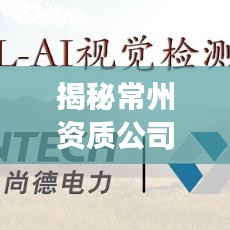 揭秘常州资质公司排名，探寻行业领军者的成功奥秘！