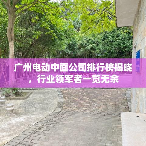 广州电动中面公司排行榜揭晓，行业领军者一览无余