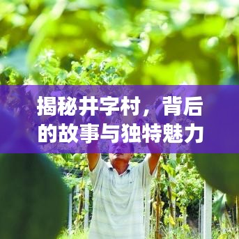 揭秘井字村，背后的故事与独特魅力