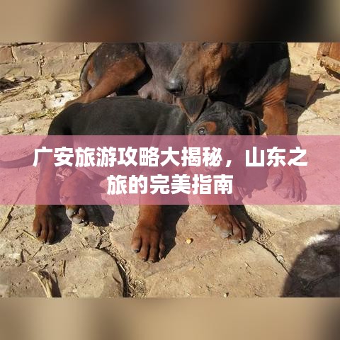 广安旅游攻略大揭秘，山东之旅的完美指南