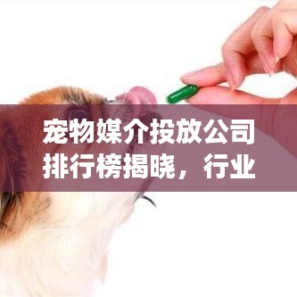 宠物媒介投放公司排行榜揭晓，行业巨头与趋势洞察