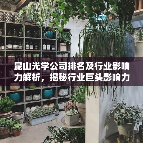 昆山光学公司排名及行业影响力解析，揭秘行业巨头影响力深度报告