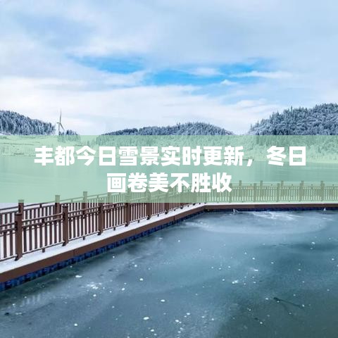 丰都今日雪景实时更新，冬日画卷美不胜收