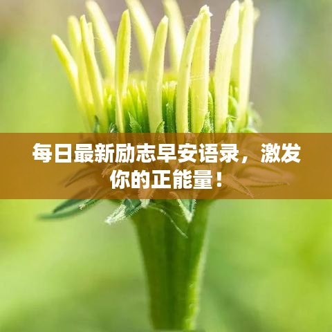 每日最新励志早安语录，激发你的正能量！