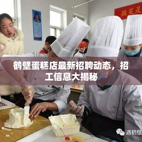 鹤壁蛋糕店最新招聘动态，招工信息大揭秘