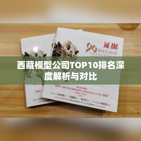 西藏模型公司TOP10排名深度解析与对比