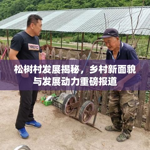 松树村发展揭秘，乡村新面貌与发展动力重磅报道