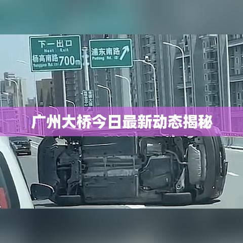 2025年6月 第3页