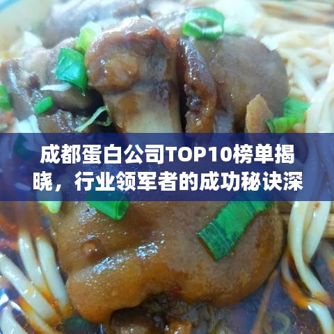 成都蛋白公司TOP10榜单揭晓，行业领军者的成功秘诀深度解读