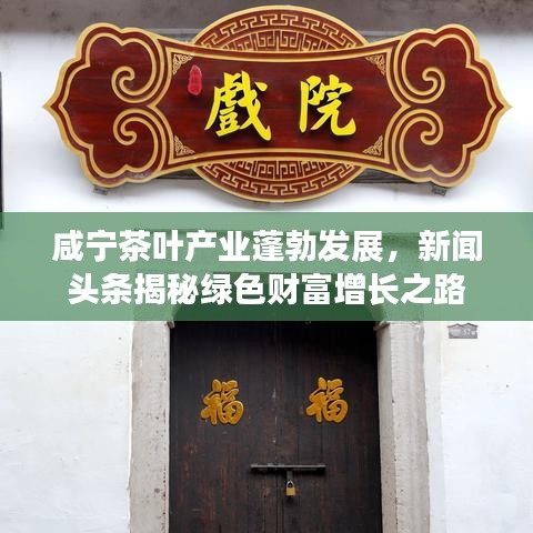 咸宁茶叶产业蓬勃发展，新闻头条揭秘绿色财富增长之路