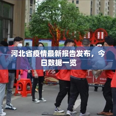 河北省疫情最新报告发布，今日数据一览