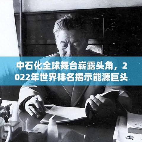 中石化全球舞台崭露头角，2022年世界排名揭示能源巨头强大实力