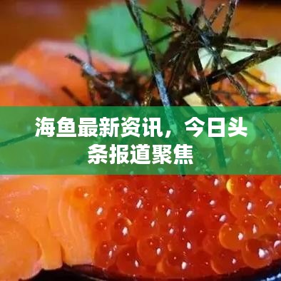 海鱼最新资讯，今日头条报道聚焦