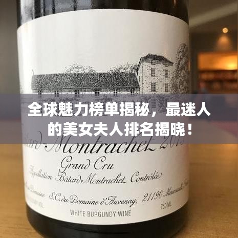 全球魅力榜单揭秘，最迷人的美女夫人排名揭晓！