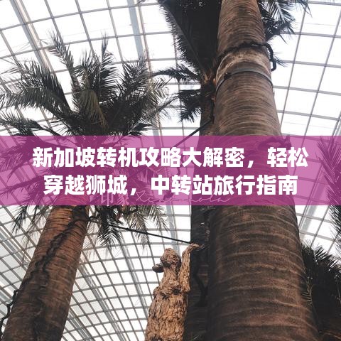 新加坡转机攻略大解密，轻松穿越狮城，中转站旅行指南