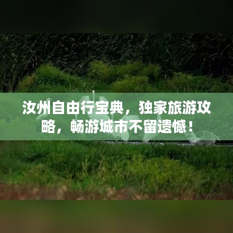 汝州自由行宝典，独家旅游攻略，畅游城市不留遗憾！