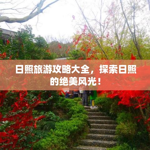 日照旅游攻略大全，探索日照的绝美风光！