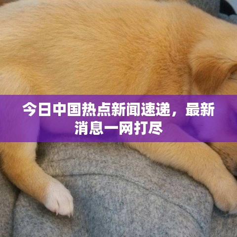 今日中国热点新闻速递，最新消息一网打尽