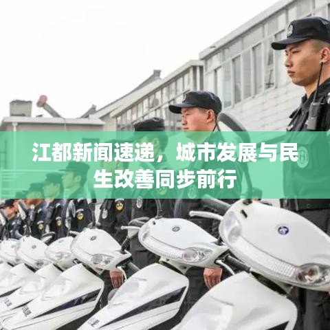 江都新闻速递，城市发展与民生改善同步前行