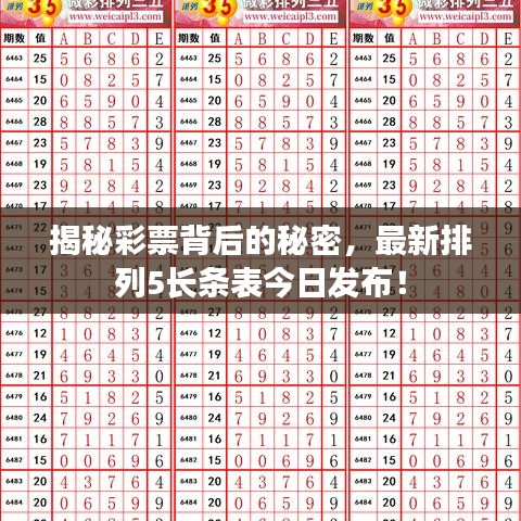 揭秘彩票背后的秘密，最新排列5长条表今日发布！