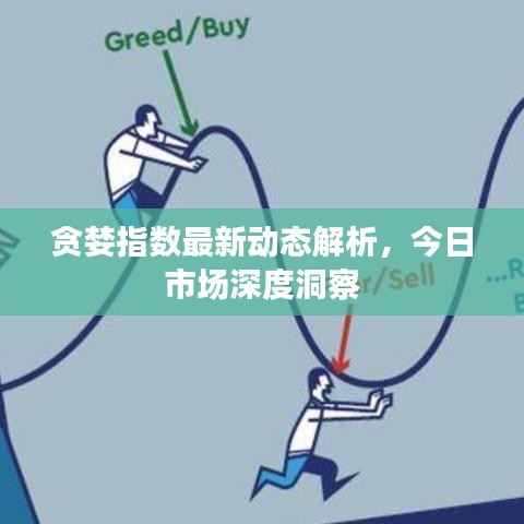 贪婪指数最新动态解析，今日市场深度洞察