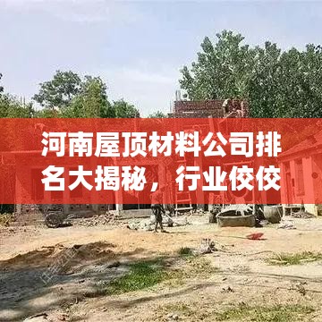 河南屋顶材料公司排名大揭秘，行业佼佼者一览无余！