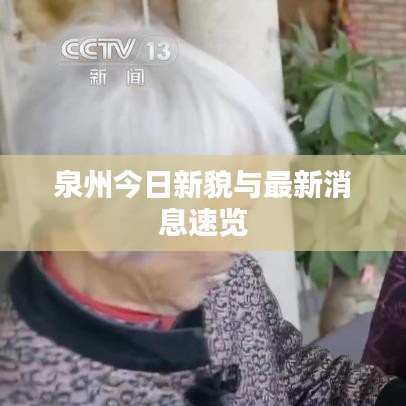 泉州今日新貌与最新消息速览