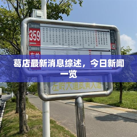 葛店最新消息综述，今日新闻一览