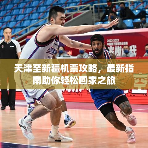 天津至新疆机票攻略，最新指南助你轻松回家之旅