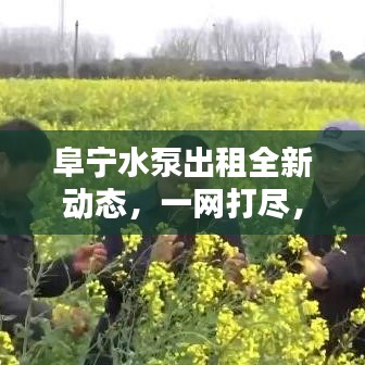 阜宁水泵出租全新动态，一网打尽，最新信息全攻略！