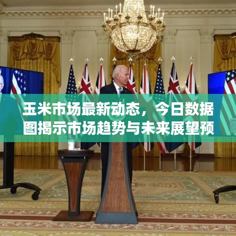 玉米市场最新动态，今日数据图揭示市场趋势与未来展望预测