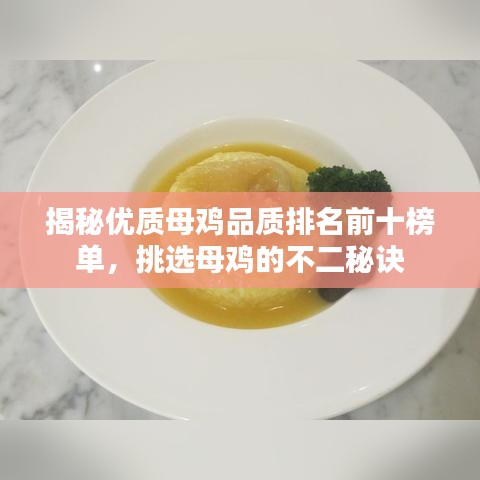 揭秘优质母鸡品质排名前十榜单，挑选母鸡的不二秘诀