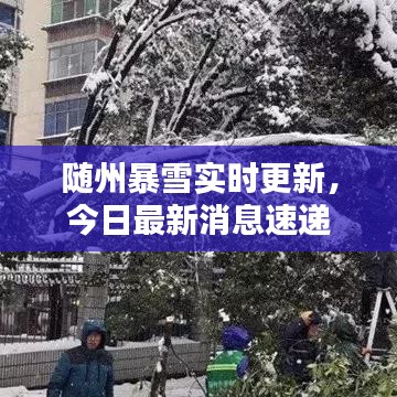随州暴雪实时更新，今日最新消息速递