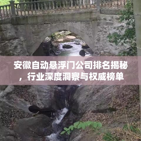 安徽自动悬浮门公司排名揭秘，行业深度洞察与权威榜单