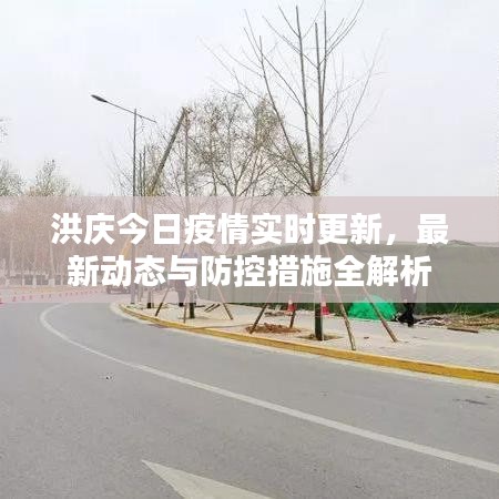 洪庆今日疫情实时更新，最新动态与防控措施全解析