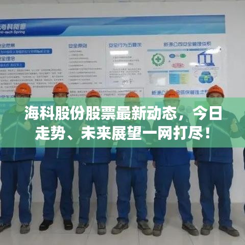 海科股份股票最新动态，今日走势、未来展望一网打尽！