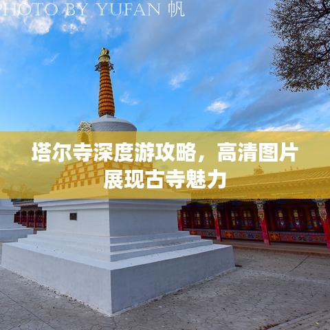 塔尔寺深度游攻略，高清图片展现古寺魅力