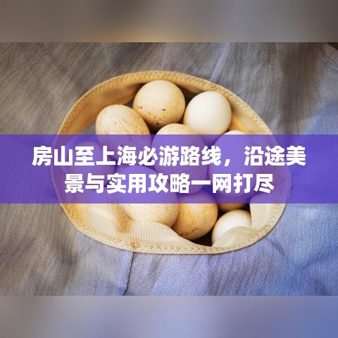 房山至上海必游路线，沿途美景与实用攻略一网打尽